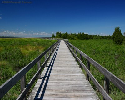 bwalk_0278.jpg