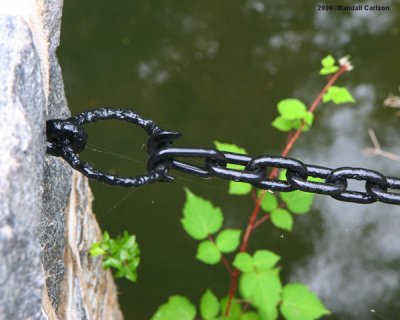 chain_0222.jpg