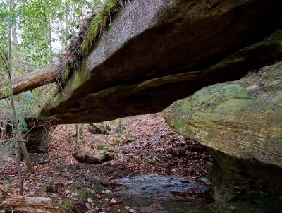 Copperhead Arch