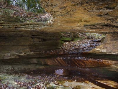 Rockcastle Arch