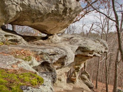 Pickle Spring Arch Complex 