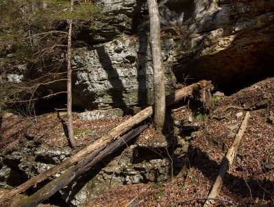 Little Sinking Creek Arch Complex