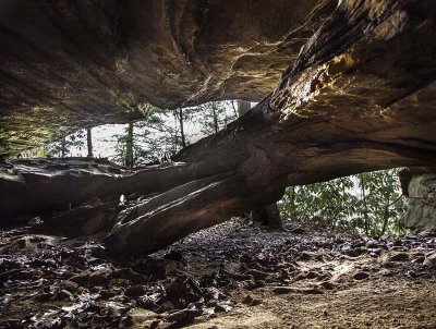 Bell Shelter Arch