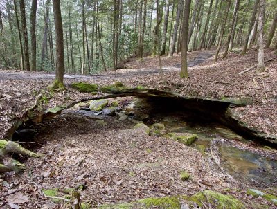 Baldrock Natural Bridge