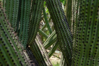 Cabo Country_05.jpg