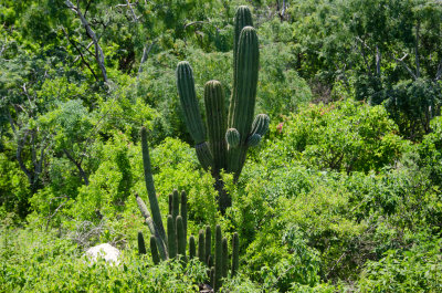 Cabo Country_14.jpg