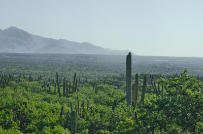 Todos Santos_01.jpg