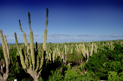 Todos Santos_02.jpg