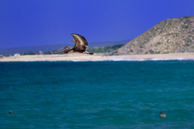 Todos Santos_07.jpg