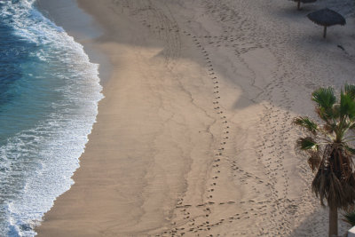 Sirena Del Mar_28.jpg