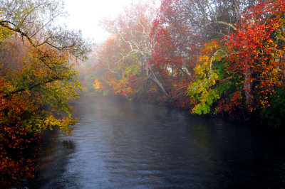 Foggy Morning on Tulpehocken Creek near Blue Marsh Lake, Pa