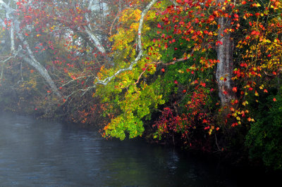 Foggy Morning on Tulpehocken Creek near Blue Marsh Lake, Pa