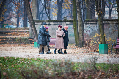 Autumn 2012 (November)