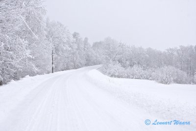 Winter road.