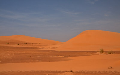 Sahara - Mauritania