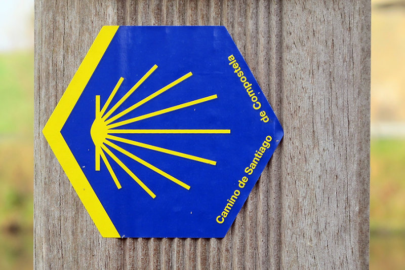 camino de santiago