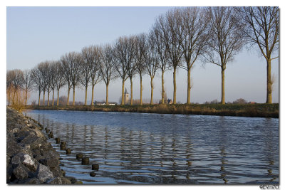 de schelde