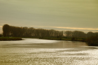 de schelde in spiere