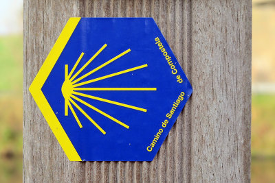 camino de santiago
