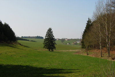 Landschap 4