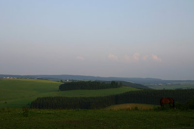 Landschap 6