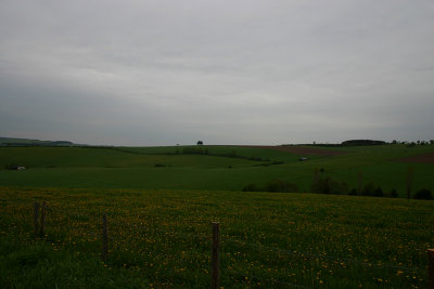 Landschap 8