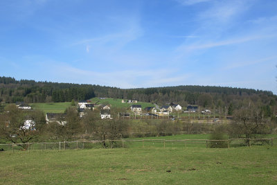 Rohrbusch