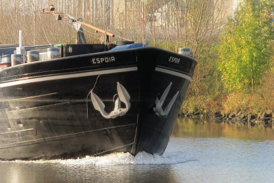 espoir
