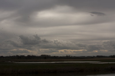 Langs de Schelde