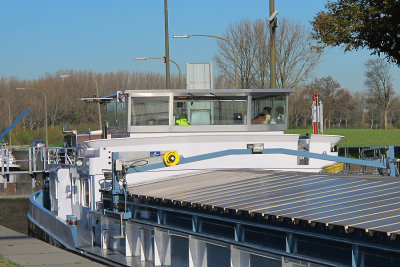Sint Bernard in kajuit