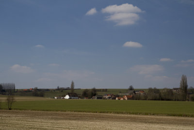 landschap