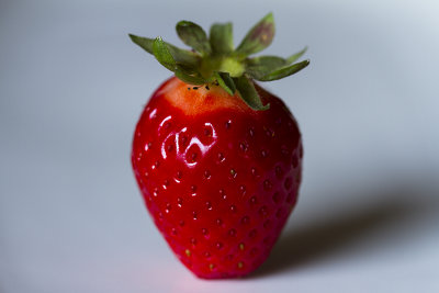 Aardbei