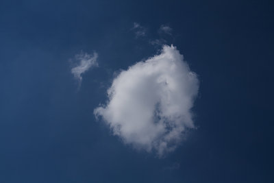 Wolk