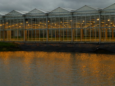 greenhouse by light