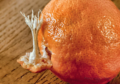 the inside of an orange