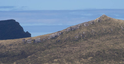 Eboule Peak and Fihol, Campbell Island (12/5/2012)