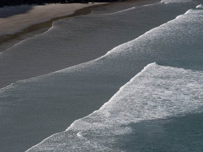 Beach, Otago Peninsula (12/13/2012)
