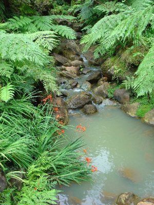 milky waters at Caldeira Velha