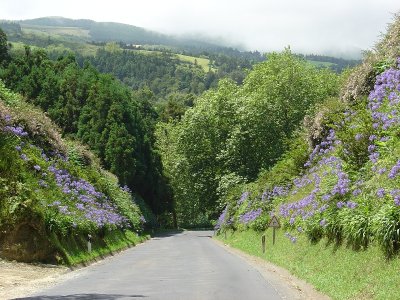 a typical road on San Miguel