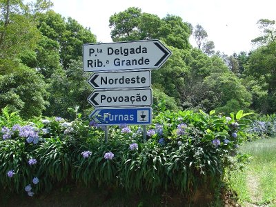 which way?