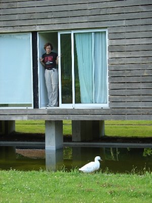 Aflac!