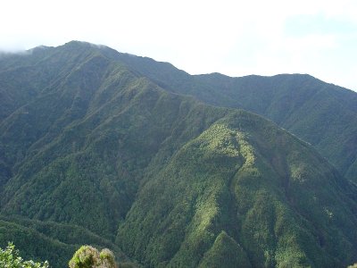 Nature Preserve in the Tronqueira Mountains