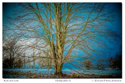 20130210155541.jpg