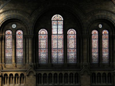 Natural History Museum - Stained Glass