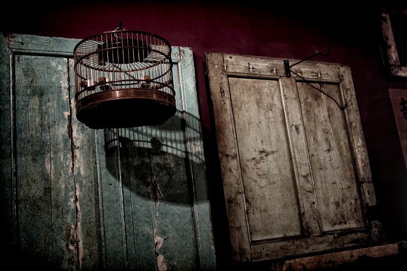 An Empty Cage