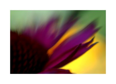 }}}