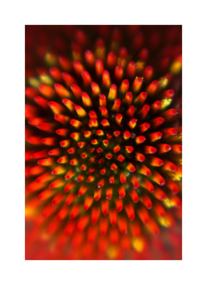 }}