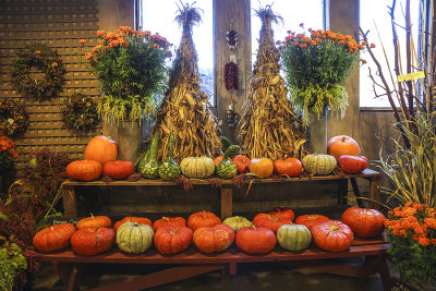 Farm Store Display