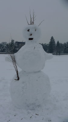 Elbe - 24 February