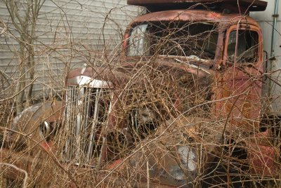 overgrown.tif